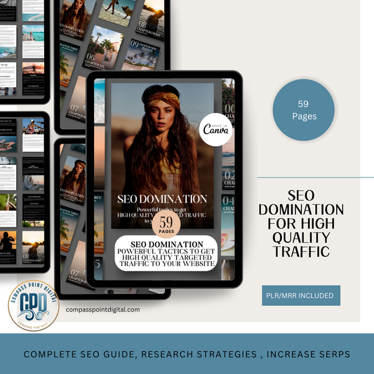 SEO Domination For High Quality Traffic